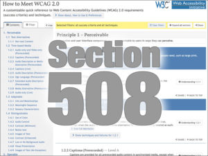 Section 508 accessibility requirements